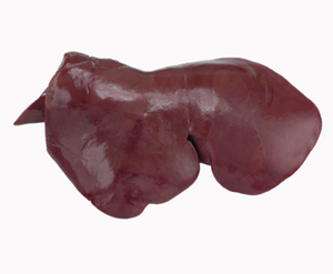 Liver