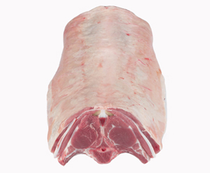 Saddle 8 Rib