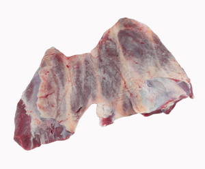 Bovine Forequarter