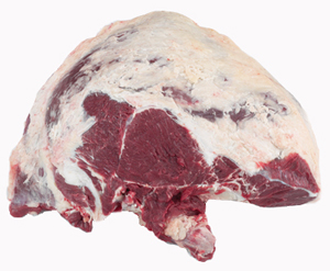 Bovine Hindquarter